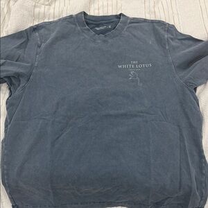 Abercrombie & Fitch Gray Graphic Tee